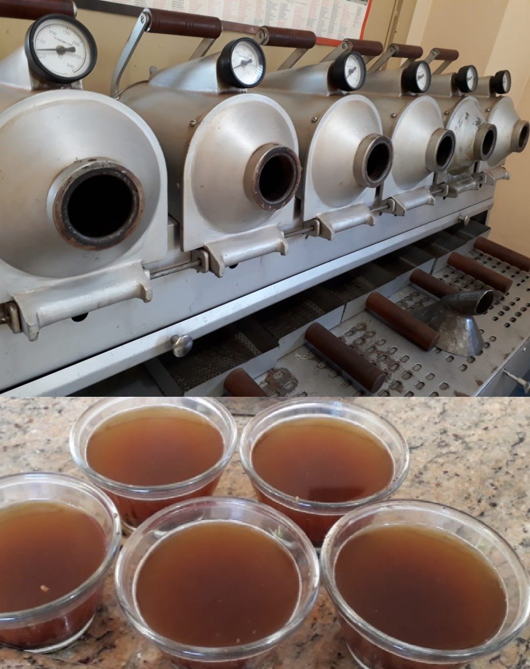 distribuidor de cafe, cafe arabica, cafe especial, baixada santista